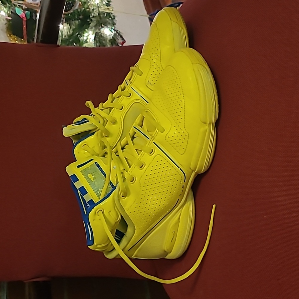 *PRICE REDUCED* Derrick Rose Basketball shoes